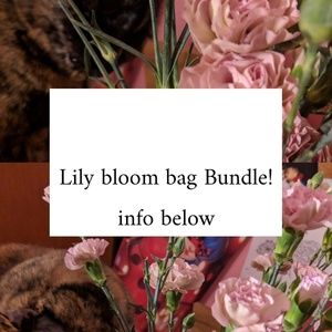 Lily bloom bag bundle!